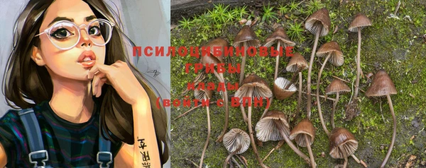 герыч Арсеньев