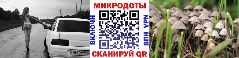 Купить  Нижняя Салда  Псилоцибиновые грибы Cubensis 